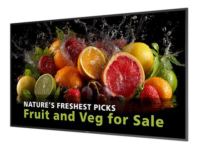 Philips 65BDL5050D - 65" Diagonal Class (64.5" viewable)
