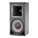 JBL Professional AE (Application Engineered) Series AM7215/66