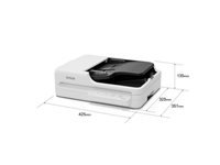 Epson Scanners Professionnels B11B273401