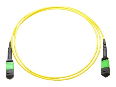 Axiom - Network cable