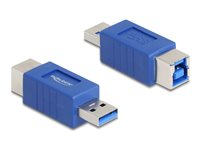 Delock USB-adapter Blå