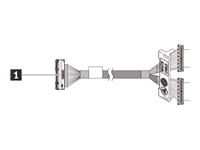 Lenovo - Câble d'interconnexion