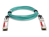 Proline network cable - 3 m - 3 m