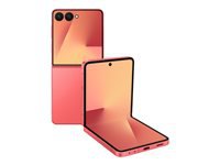 Samsung Galaxy Z SM-F766BZRHEUB