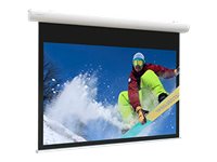 Projecta Elpro Concept HDTV Format - projection screen - 149" (379 cm)