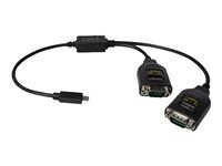 DeLock Seriel adapter USB-C Kabling