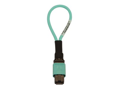 Eaton Tripp Lite Series Multimode 50/125 OM3 Loopback Fiber Optic Cable Tester (12F MTP/MPO Female), LSZH, Aqua