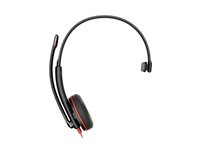 HP Poly Blackwire 3210 - headset - USB-C