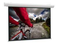 Projecta Elpro Concept projection screen - 135" (342 cm)