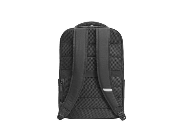 HP Professional