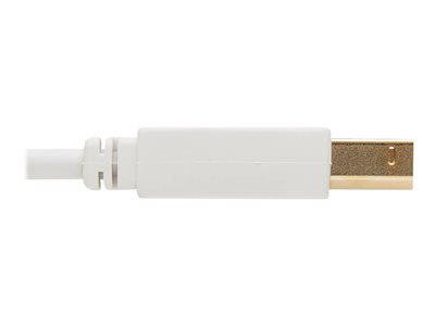 Tripp Lite Safe-IT USB-A to USB-B Antibacterial Cable (M/M), USB 2.0, White, 10 ft.