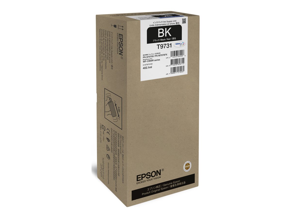 Epson T9731