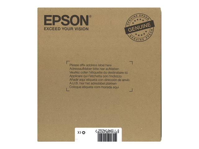 EPSON 2LB EasyMail T071 Cheetah