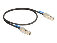 DeLOCK Serial Attached SCSI (SAS) eksternt kabel Sort 1m