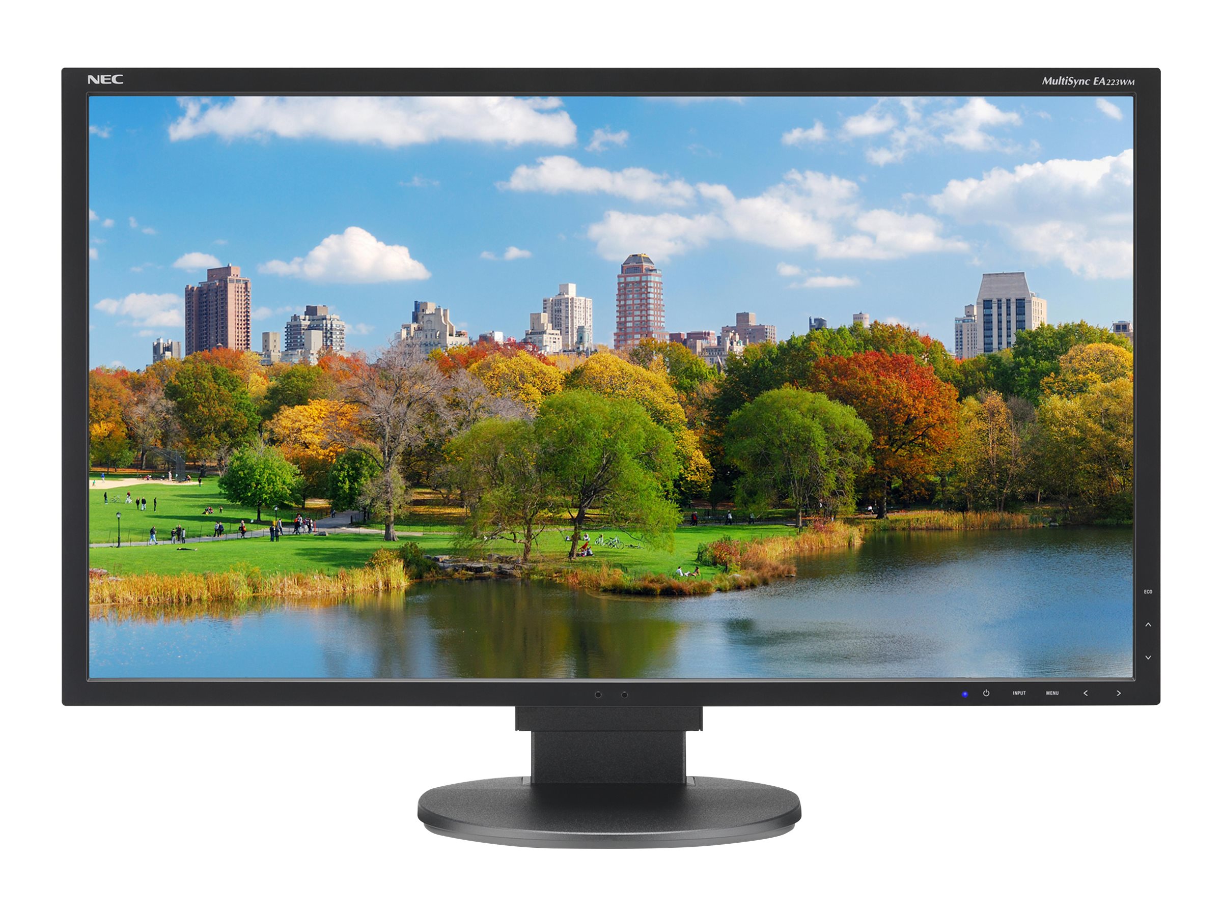 NEC MultiSync EA223WM-BK