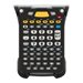 Zebra Alpha-Numeric