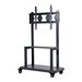 Newline Anywhere Cart Mobile Stand