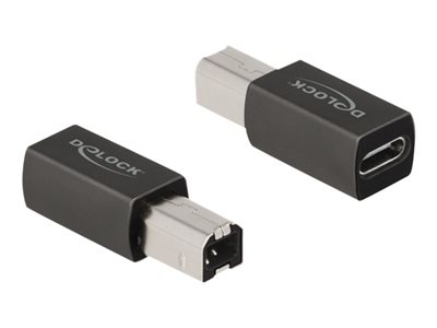 DELOCK USB 2.0 Adapter USB Type-C Buchse zu Typ-B Stecker