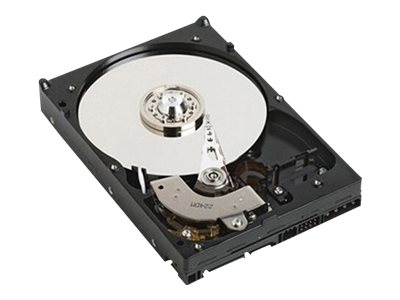 Dell - Hard drive - 6 TB