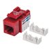 Intellinet Keystone Jack, Cat6, UTP, Punch-down, Red