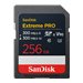 SanDisk Extreme Pro