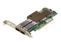 Broadcom NetXtreme E-Series P2100G Netværksadapter PCI Express 4.0 x16