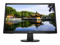 HP V22v G5 - LED monitor - 22