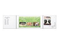 MooreCo Interactive Projector Board + whiteboard system Whiteboard projection screen 