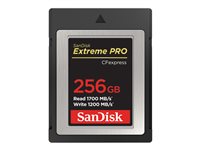 SanDisk Extreme Pro - flash-minneskort - 256 GB - CFexpress