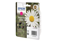 Epson Cartouches Jet d'encre d'origine C13T18134010