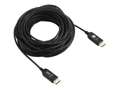 SIIG - DisplayPort cable