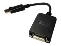 Dynamix Display Port to DVI Active Converter adapter DisplayPort / Product shot Front 76350