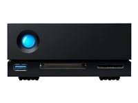 LaCie 1big Dock STHS16000800 - hard drive array