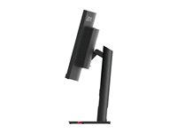 LENOVO T34w-30 34p WQHD VA 21:9 Monitor