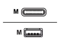 Ruckus USB cable USB-C (M) to USB (M) USB 2.0 3.3 ft