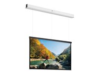 Da-Lite Tensioned DescenderPro projection screen - 112.99" (287 cm)