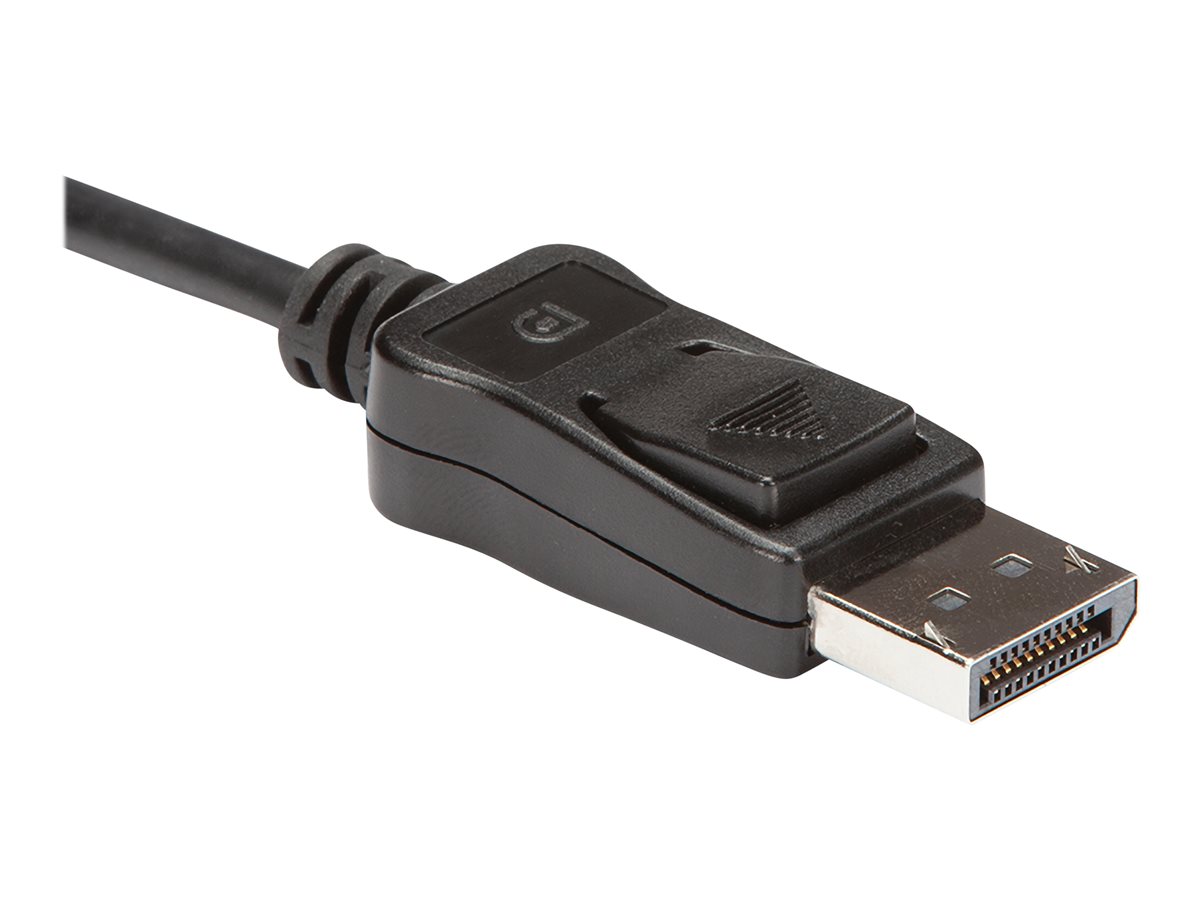 STARTECH DP to DVI Dual Link Active Adapter – foto 4