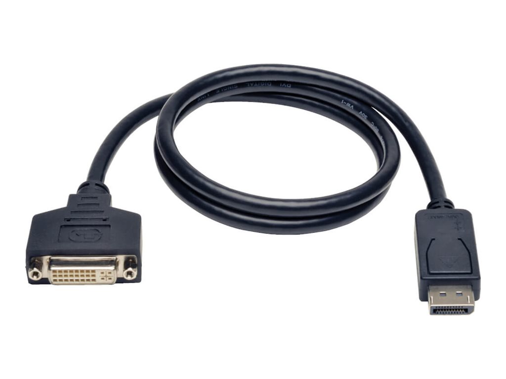 Tripp Lite 3ft DisplayPort to DVI Adapter Converter DP to DVI M/F 3'
