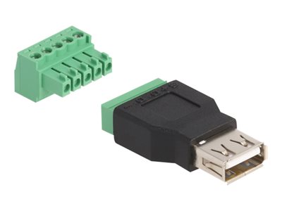 DELOCK USB 2.0 Typ-A Bu zu Terminalblock Adapter 2-teilig