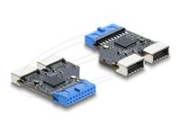 Delock USB 5 Gbps Hub 20 pin header female to 2 x USB 5 Gbps Type-E Key A female