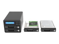 RAIDON SafeTANK GR3680-BA31 Harddisk-array 2bays