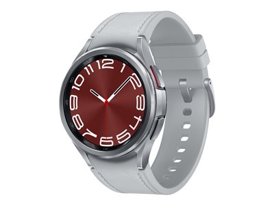 SAMSUNG Watch6 Classic LTE 43mm Silver - SM-R955FZSADBT