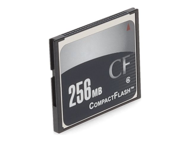 AddOn - Carte mémoire flash - 256 Mo - CompactFlash