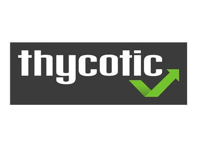 Thycotic Professional Services Silver Kick Start Package Remote