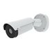 AXIS Q2901-E Temperature Alarm Camera (19mm) - Image 1: Main