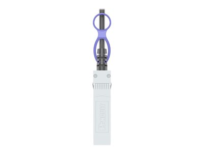 Panduit 10Gig - Direct attach cable