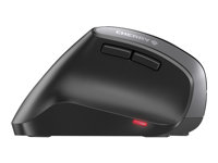 CHERRY MW 4500 Souris sans fil infraroug