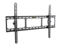 Amer Mounts BIGASSMOUNT60T Mounting kit (wall mount, 2 VESA rails) tilt for flat panel 