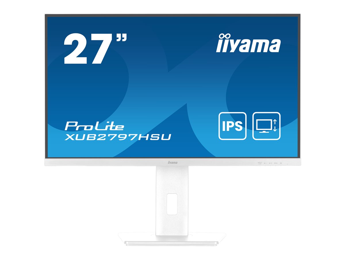 iiyama ProLite...