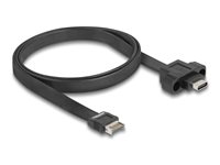 DeLOCK USB-kabel 75cm Sort